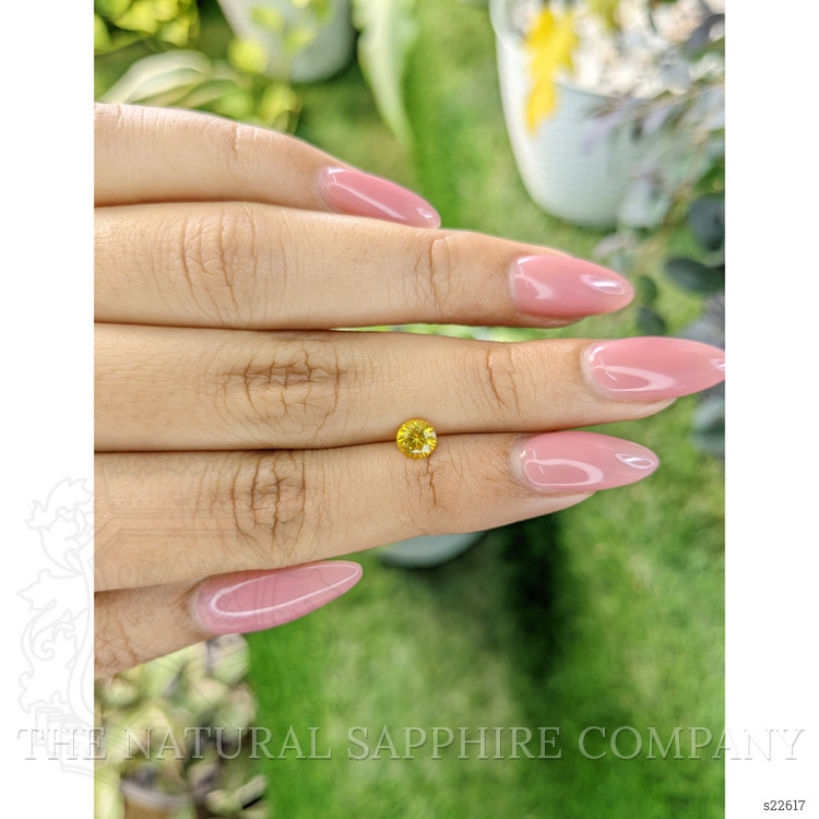 0.59 Ct. Yellow Sapphire from Ceylon (Sri Lanka)