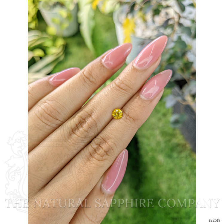 0.60 Ct. Yellow Sapphire from Ceylon (Sri Lanka)