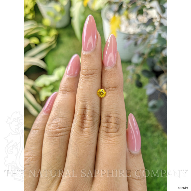 0.60 Ct. Yellow Sapphire from Ceylon (Sri Lanka)