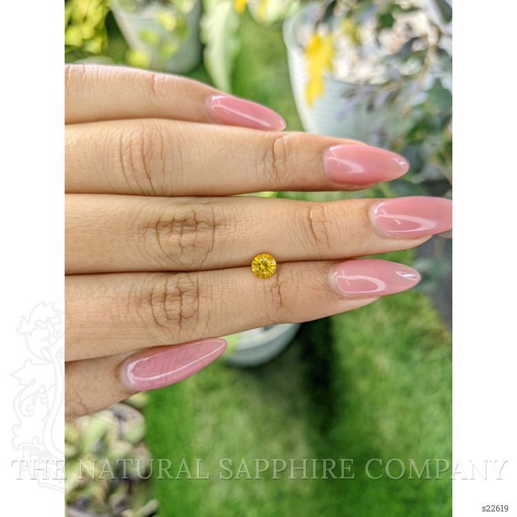 0.60 Ct. Yellow Sapphire from Ceylon (Sri Lanka)