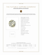 0.88 Ct. Sapphire from Ceylon (Sri Lanka) Scan Report