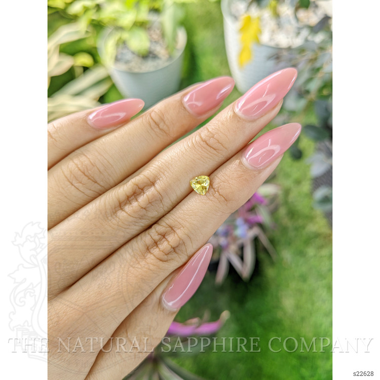 0.61 Ct. Yellow Sapphire from Ceylon (Sri Lanka)