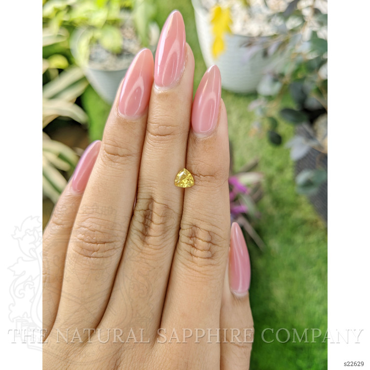 0.65 Ct. Yellow Sapphire from Ceylon (Sri Lanka)