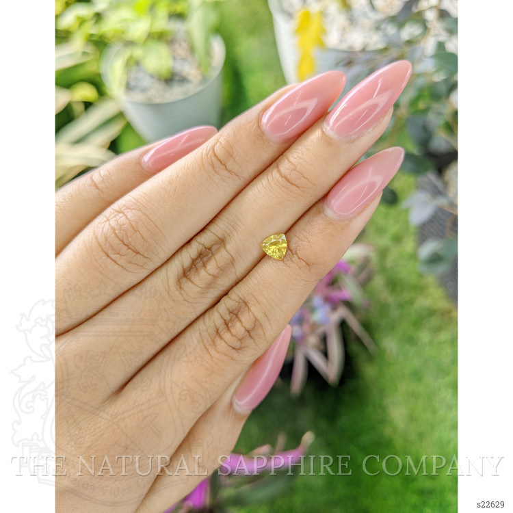 0.65 Ct. Yellow Sapphire from Ceylon (Sri Lanka)