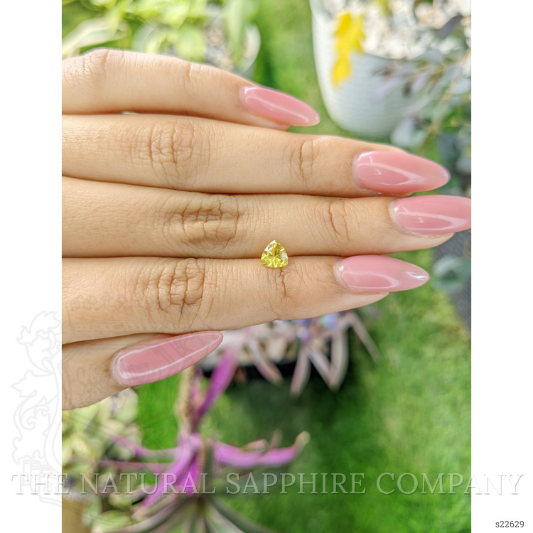 0.65 Ct. Yellow Sapphire from Ceylon (Sri Lanka)