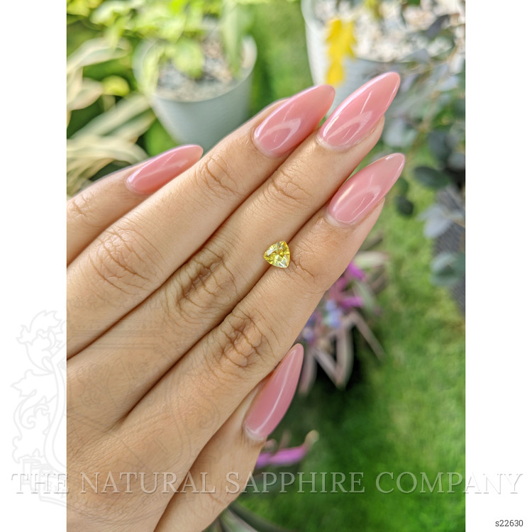 0.63 Ct. Yellow Sapphire from Ceylon (Sri Lanka)