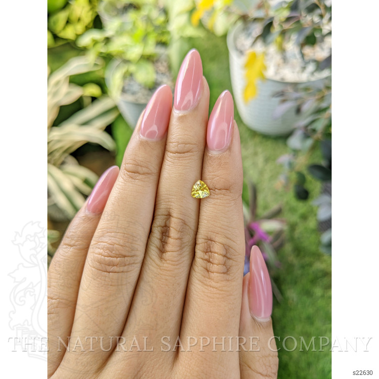 0.63 Ct. Yellow Sapphire from Ceylon (Sri Lanka)