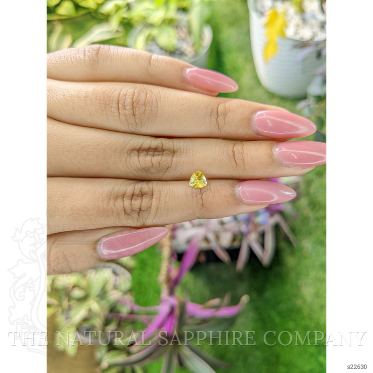 0.63 Ct. Yellow Sapphire from Ceylon (Sri Lanka)