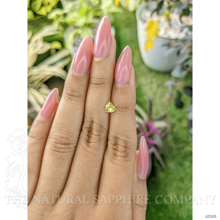 0.60 Ct. Yellow Sapphire from Ceylon (Sri Lanka)