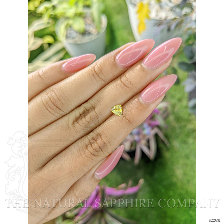 0.60 Ct. Yellow Sapphire from Ceylon (Sri Lanka)