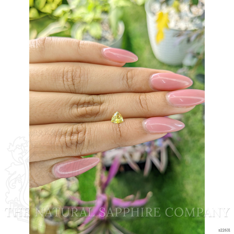 0.60 Ct. Yellow Sapphire from Ceylon (Sri Lanka)