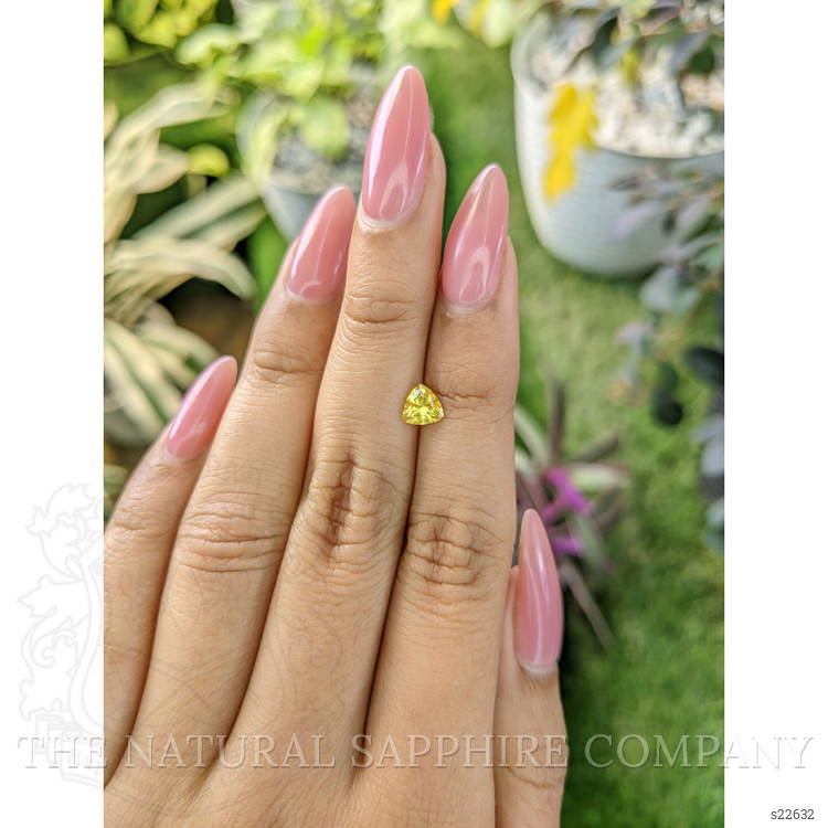 0.65 Ct. Yellow Sapphire from Ceylon (Sri Lanka)
