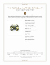 Jewelry Scan Report