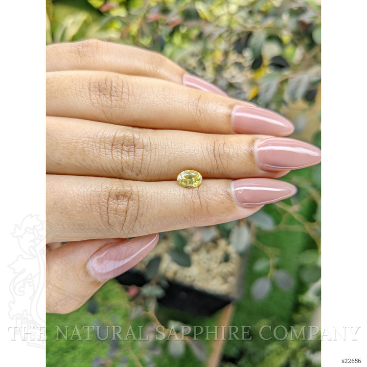 1.00 Ct. Yellow Sapphire from Ceylon (Sri Lanka)