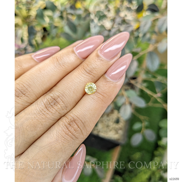 1.16 Ct. Yellow Sapphire from Ceylon (Sri Lanka)