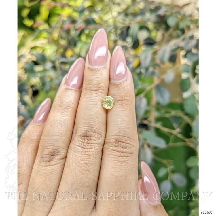 1.16 Ct. Yellow Sapphire from Ceylon (Sri Lanka)