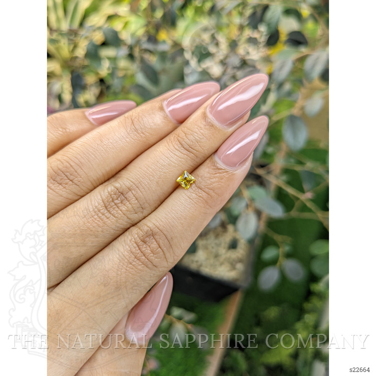 0.48 Ct. Yellow Sapphire from Ceylon (Sri Lanka)