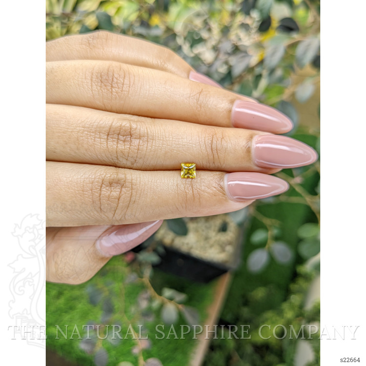 0.48 Ct. Yellow Sapphire from Ceylon (Sri Lanka)