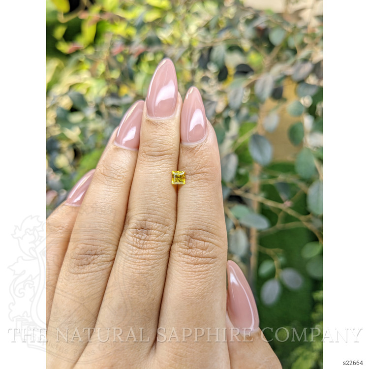 0.48 Ct. Yellow Sapphire from Ceylon (Sri Lanka)