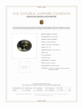 Jewelry Scan Report