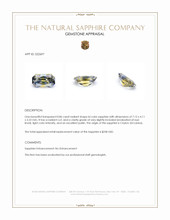 Jewelry Appraisal