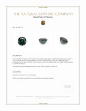 0.99 Ct. Bluish Green Sapphire from Ceylon (Sri Lanka) Appraisal