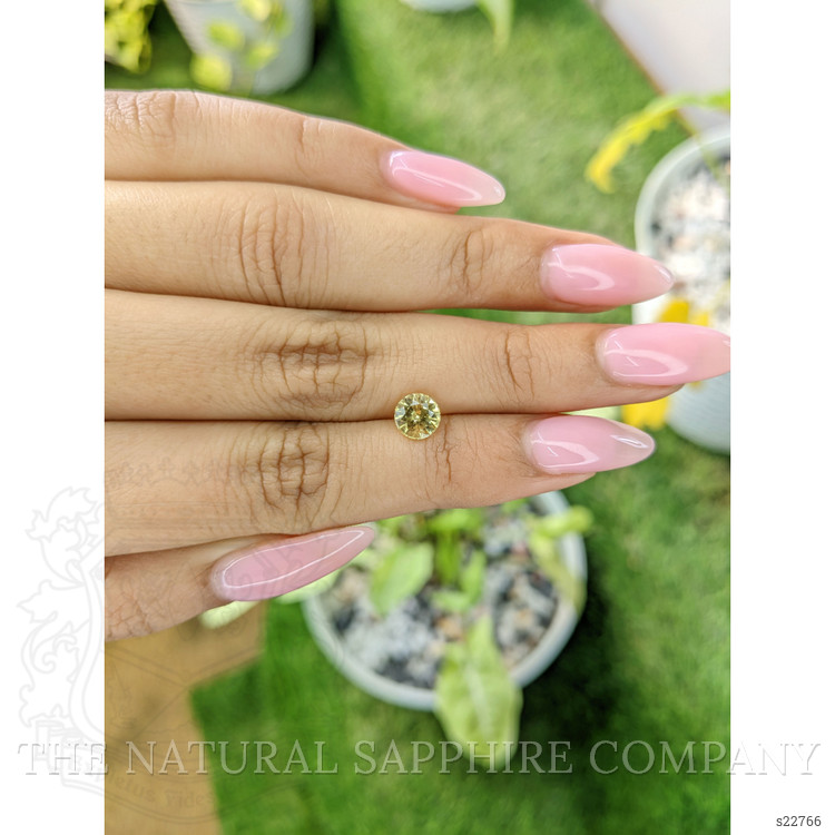 1.24 Ct. Yellow Sapphire from Ceylon (Sri Lanka)