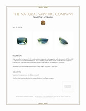 Jewelry Appraisal