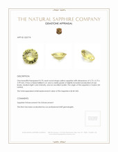 0.70 Ct. Yellow Sapphire from Ceylon (Sri Lanka) Appraisal