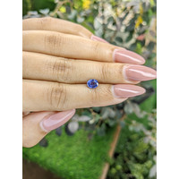 0.87 Ct. Blue Sapphire from Ceylon (Sri Lanka) Life Style