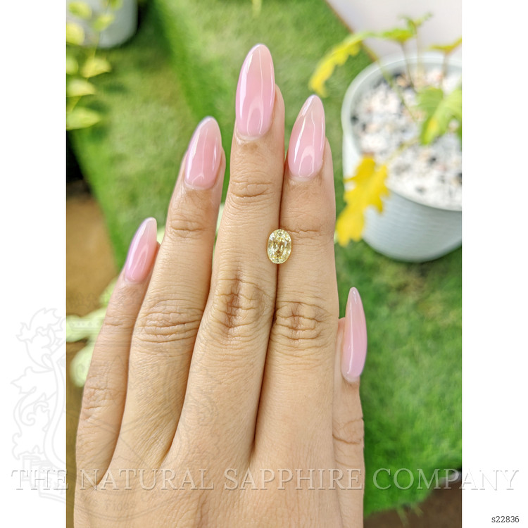 1.56 Ct. Yellow Sapphire from Ceylon (Sri Lanka)