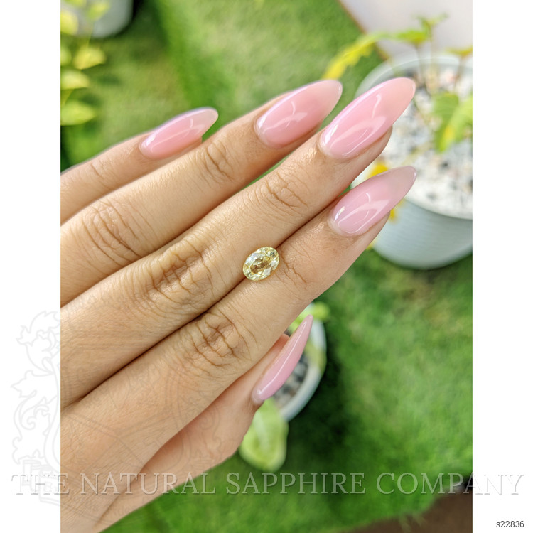 1.56 Ct. Yellow Sapphire from Ceylon (Sri Lanka)