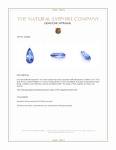 1.02 Ct. Blue Sapphire from Ceylon (Sri Lanka) Appraisal