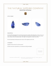 0.66 Ct. Blue Sapphire from Ceylon (Sri Lanka) Appraisal