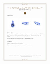 0.90 Ct. Blue Sapphire from Ceylon (Sri Lanka) Appraisal