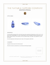 0.90 Ct. Blue Sapphire from Ceylon (Sri Lanka) Appraisal