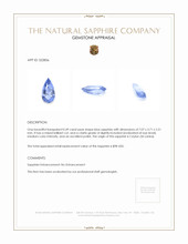 0.49 Ct. Sapphire from Ceylon (Sri Lanka) Appraisal