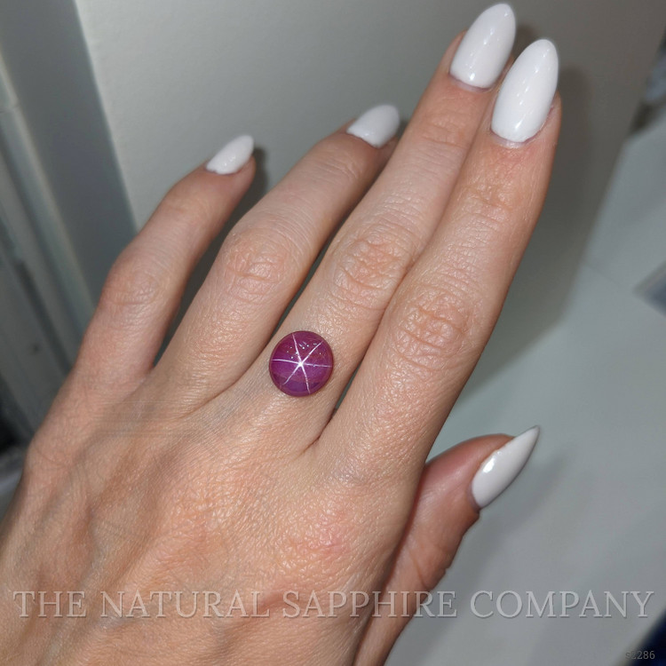 5.62 Ct. Star Ruby from Vietnam
