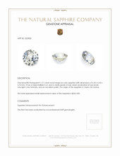 Jewelry Appraisal