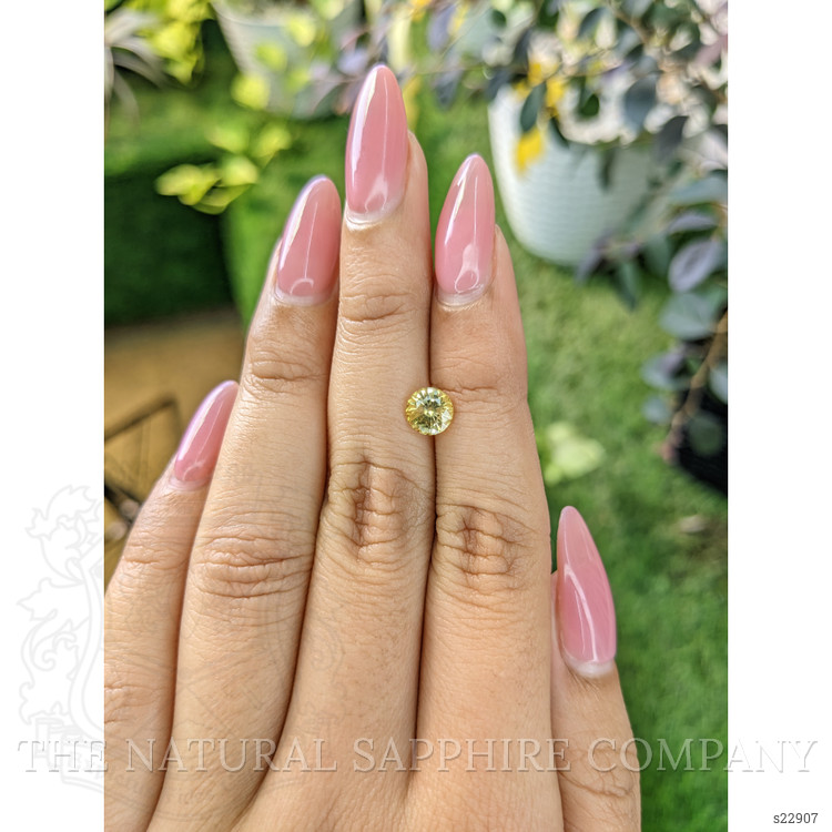 1.32 Ct. Yellow Sapphire from Ceylon (Sri Lanka)