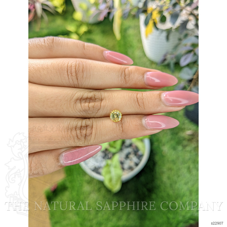 1.32 Ct. Yellow Sapphire from Ceylon (Sri Lanka)