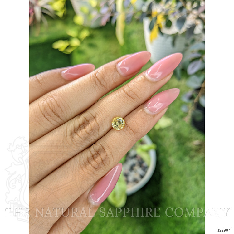 1.32 Ct. Yellow Sapphire from Ceylon (Sri Lanka)