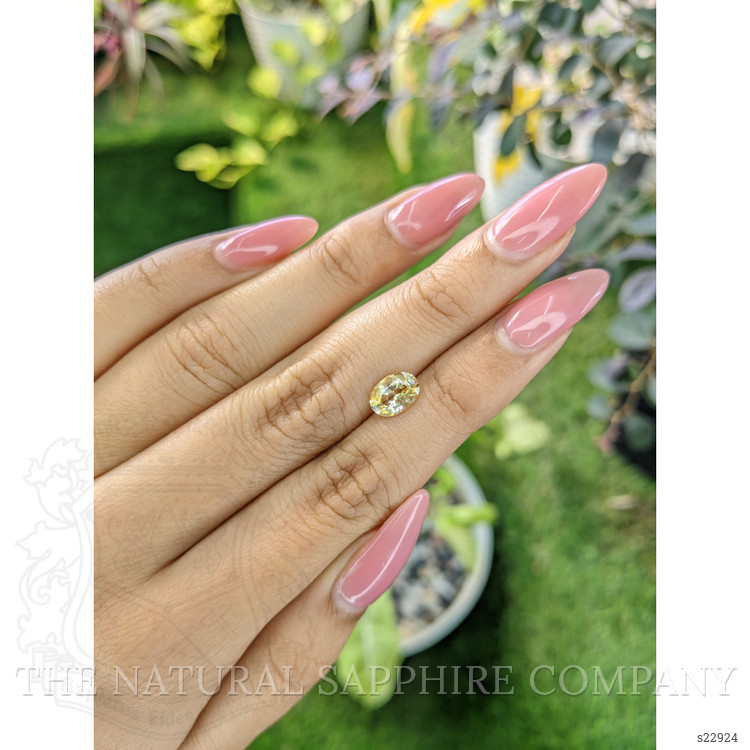 1.46 Ct. Yellow Sapphire from Ceylon (Sri Lanka)