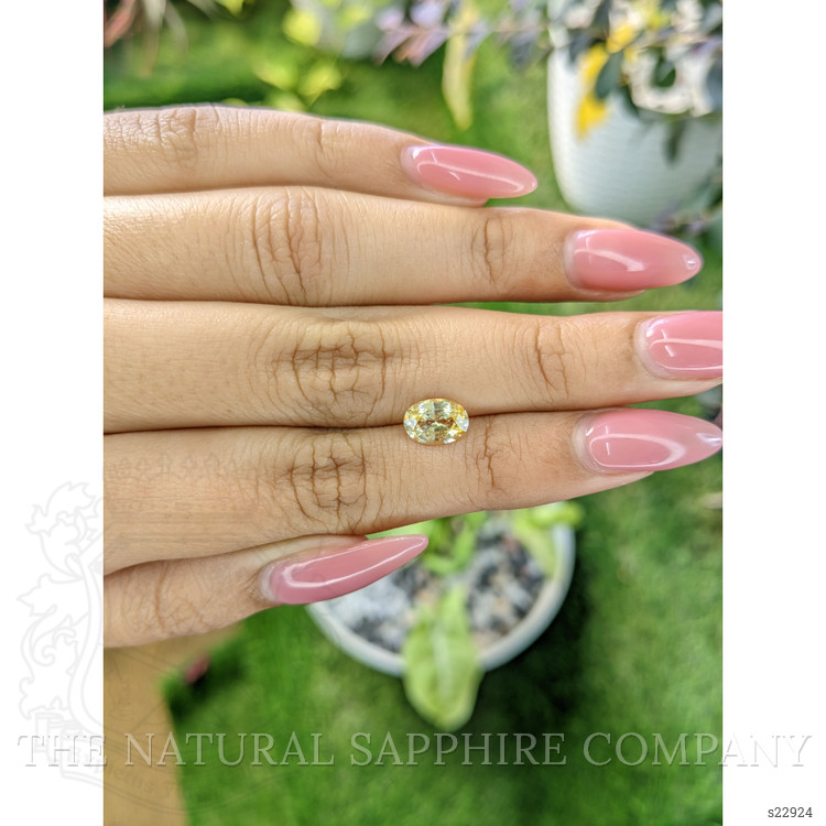 1.46 Ct. Yellow Sapphire from Ceylon (Sri Lanka)