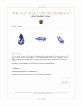 0.86 Ct. Bluish Purple Sapphire from Ceylon (Sri Lanka) Appraisal