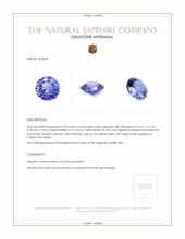 0.95 Ct. Sapphire from Ceylon (Sri Lanka) Appraisal