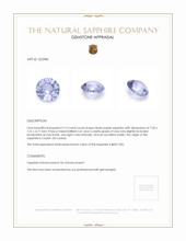 Jewelry Appraisal