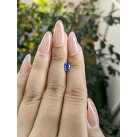 0.76 Ct. Blue Sapphire from Ceylon (Sri Lanka) Life Style