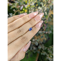 0.67 Ct. Blue Sapphire from Ceylon (Sri Lanka) Life Style