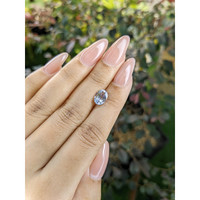 1.81 Ct. Bi Color Sapphire from Ceylon (Sri Lanka) Life Style